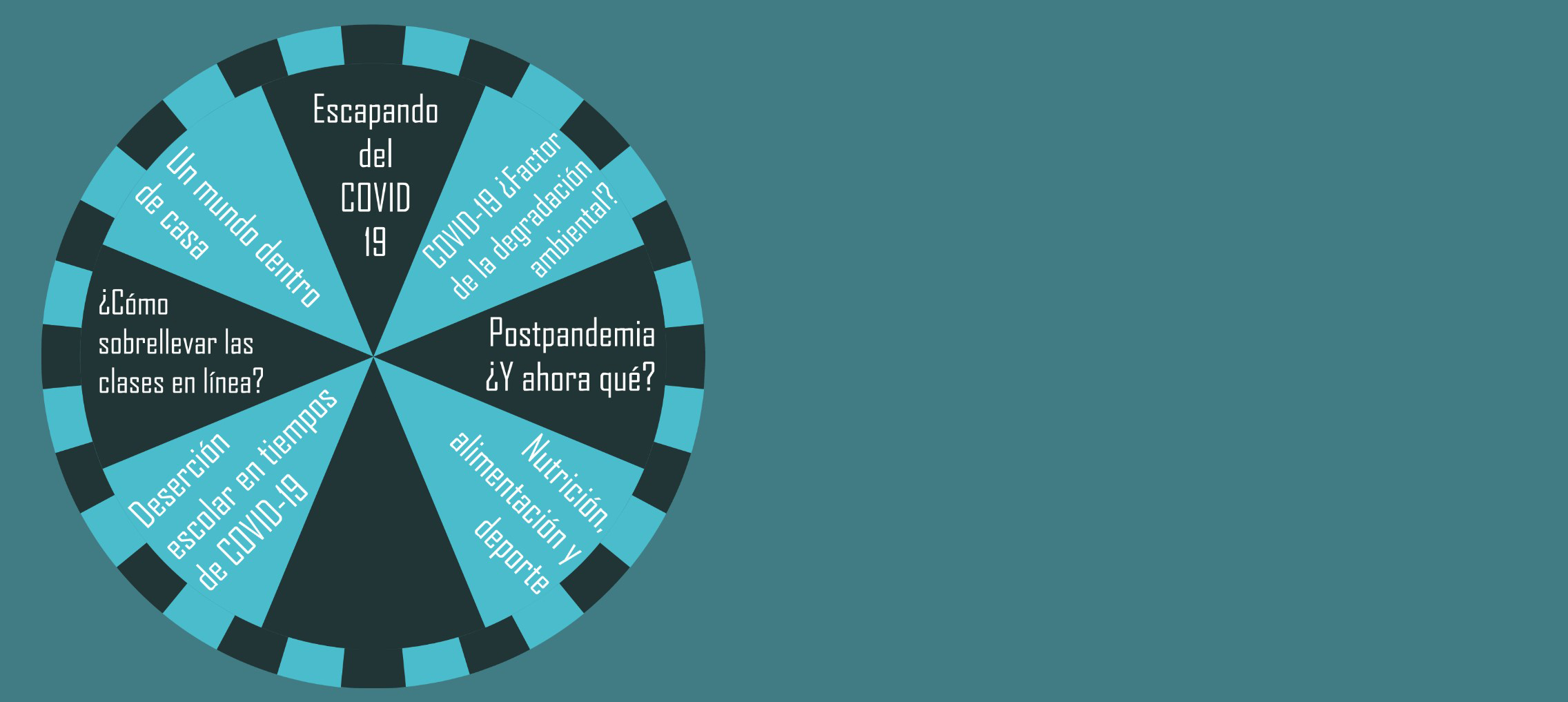 Detalle de una sección multimedia de un proyecto desarrollado por alumnos
